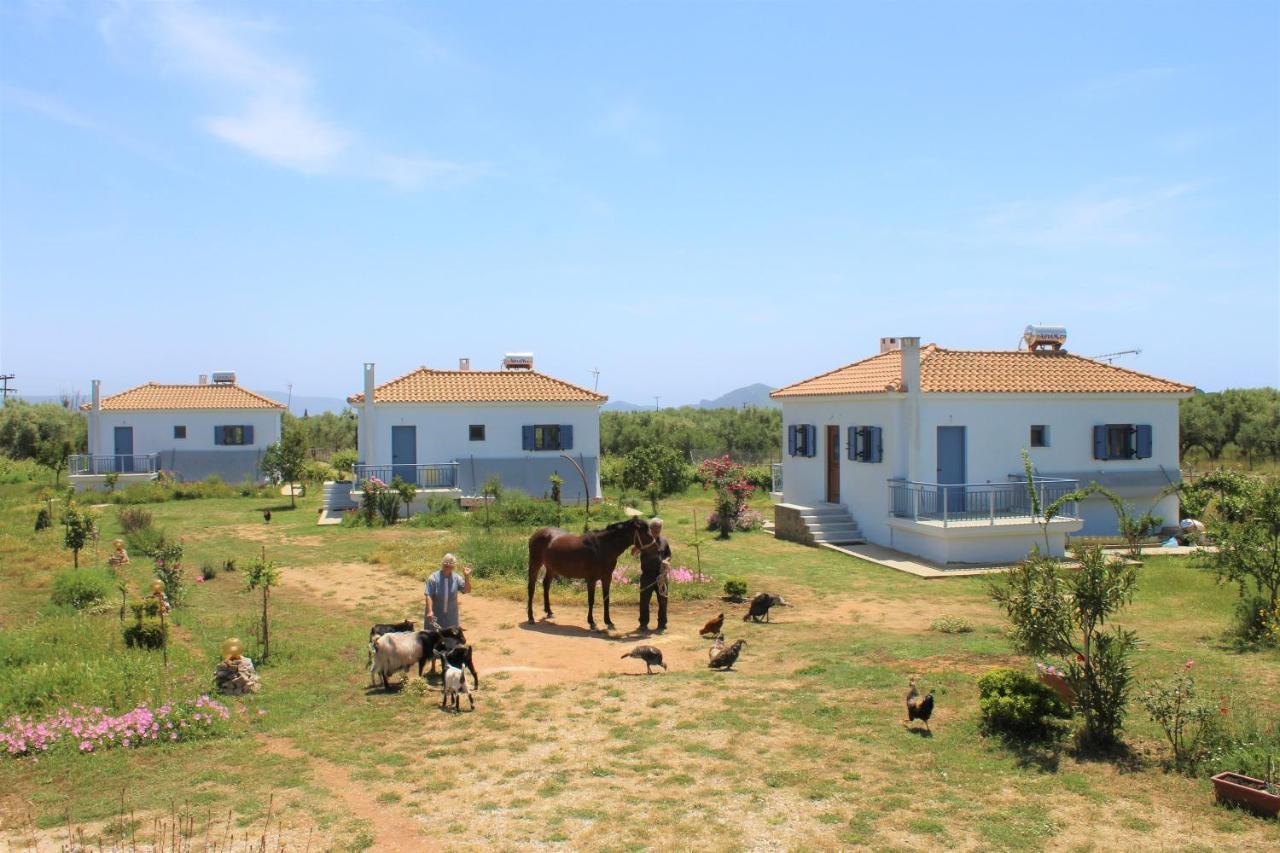 Stamna Farm Romanos (Messenia)