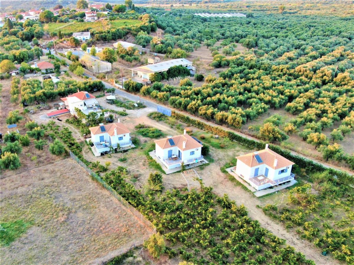 Stamna Farm Romanos (Messenia)