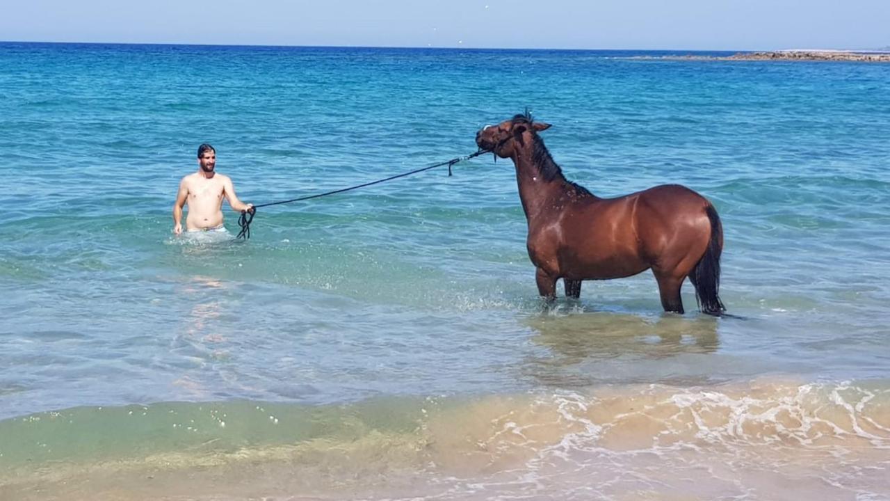 Κατάλυμα σε φάρμα Stamna Farm