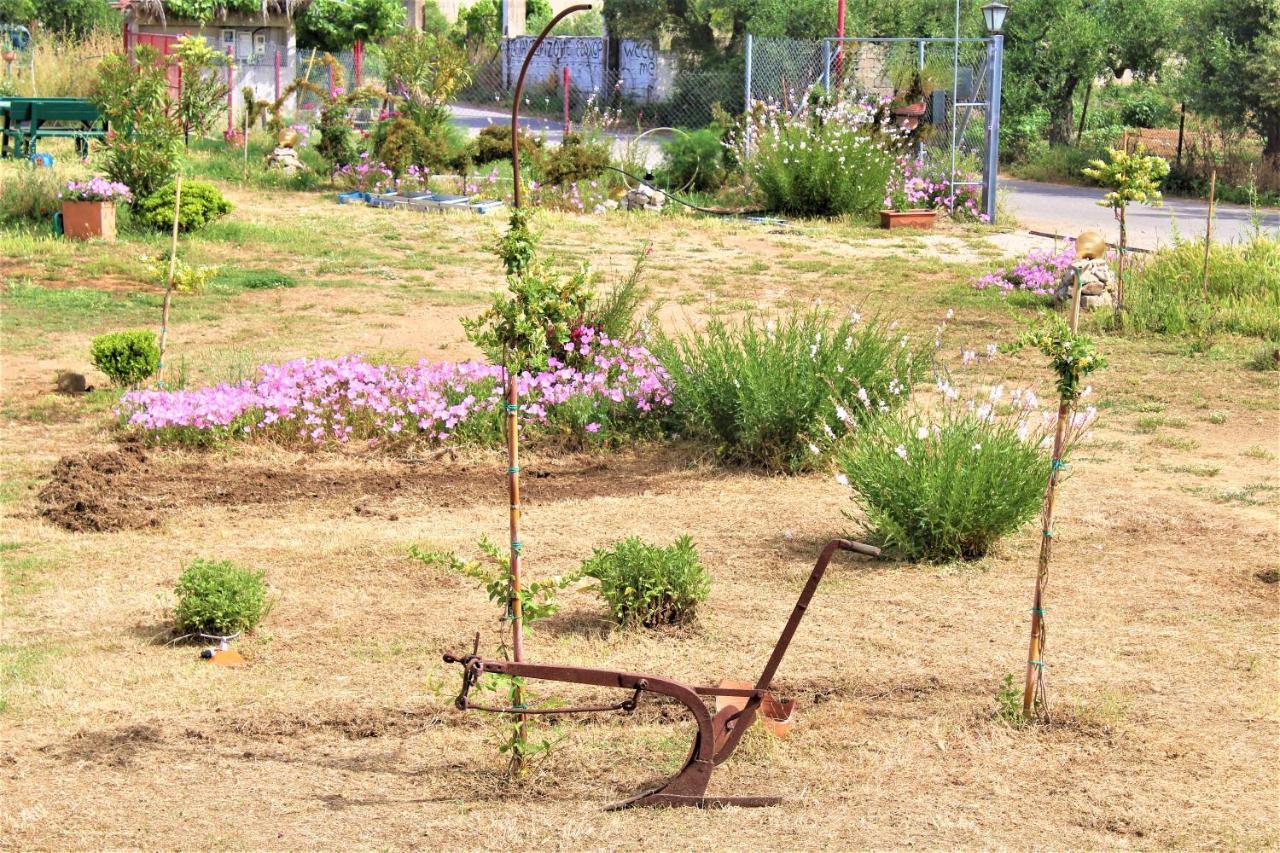 Stamna Farm Romanos (Messenia)