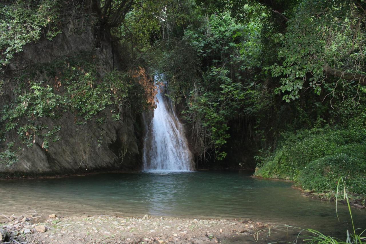 Κατάλυμα σε φάρμα Stamna Farm Romanos (Messenia)