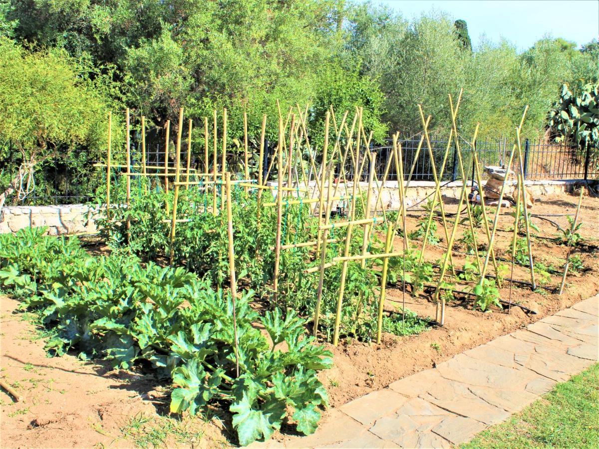 Κατάλυμα σε φάρμα Stamna Farm